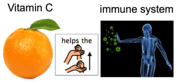 Preview of Unit 2 Fruit Discovery Lesson Power Point