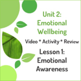 Unit 2 Lesson 1: Emotional Awareness and Regulation Video/
