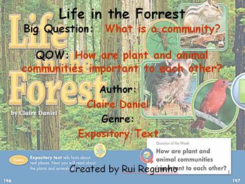 Preview of Unit 2 Week 5 - Lesson - Life in the Forrest - Lesson (2013, 2011, 2008)