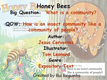 Preview of Unit 2 Week 6 - Lesson - Honey Bees - Lesson (Version 2013, 2011, 2008)
