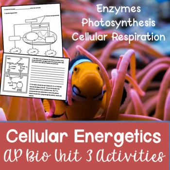 Preview of AP Biology Unit 3: Cellular Energetics Activities Packet