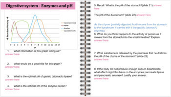 Preview of Unit 3:Enzymes and Digestion - Digital Interactive Notebook