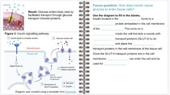 Preview of Unit 4: Homeostasis and Signal Transduction - Digital Interactive Notebook