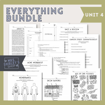 Preview of Unit 4 The Integumentary System Everything Bundle - Anatomy