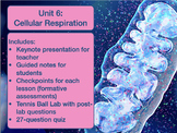 Unit 6: Cellular Respiration