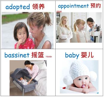 Preview of Unit 9 Babies Vocabulary -  Bilingual Chinese/English