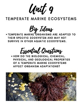 Preview of Unit 9: Temperate Marine Ecosystems