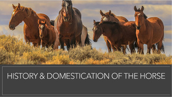 Preview of Unit Bundle: History & Domestication of the Horse (Agriscience, 4H, FFA, Camp)