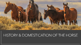 Unit Bundle: History & Domestication of the Horse (Agrisci