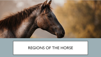 Preview of Unit Bundle: Parts of a Horse/Directional Anatomy, Equine, Animal, Agriscience