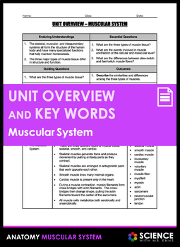 Preview of Unit Overview & Key Words - Muscular System - ADVANCED LEVEL