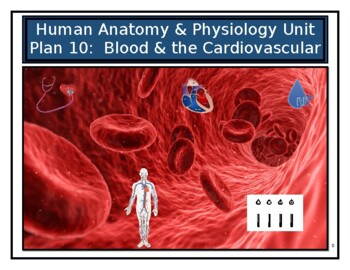 Preview of Unit Plan: The Blood and the Cardiovascular System (SIOP/Differentiated)