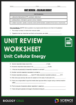 Cell Energy Worksheet - Cellular Energy Review Worksheet For 9th Higher