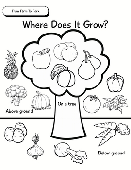 Preview of Unit of Inquiry - Food Study - From Farm To Fork - Where Does It Grow?
