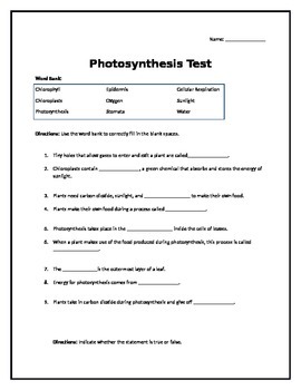 Preview of Unit test: Photosynthesis