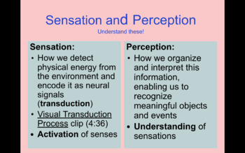 sensation versus perception