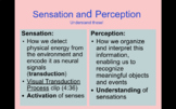 Unit4 #1 Sensation & Perception AP Psychology  Google Slid