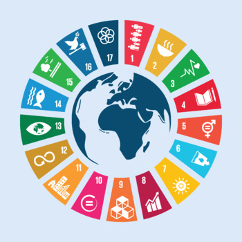 Preview of United Nations Sustainable Development Goals Connections Lesson and Activity