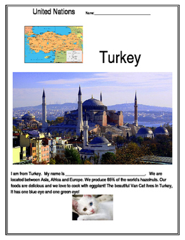 Preview of United Nations - Turkey