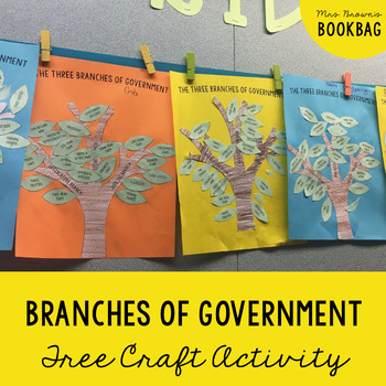 3 branches of government project