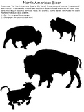 United States Symbols North American Bison