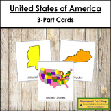 United States of America 3-Part Cards (color-coded)