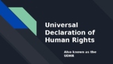 Universal Declaration of Human Rights (UDHR)