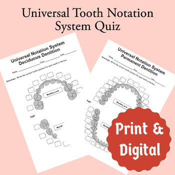 Preview of Universal Tooth Notation System Quiz