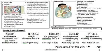 Preview of Universal Vocabulary Comprehension PowerPoints