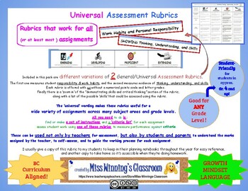 Preview of Universal or General Assessment Rubrics for Any Assignment or Activity