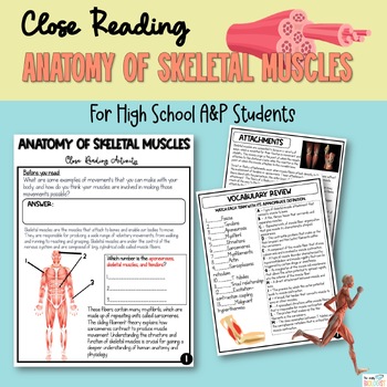 Preview of Unlocking the Mysteries of Skeletal Muscle Anatomy: A Close Reading Guide