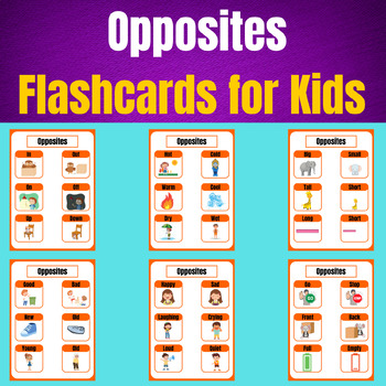 Bilingual Italian/English opposites flashcards .23 pairs .6 pages .