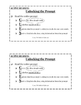 Preview of Unlocking the Prompt CUES Checklist