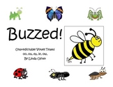 Unpredictable Vowel Teams Buzzed!