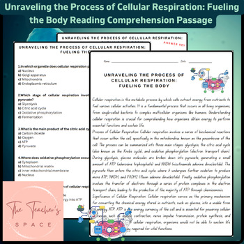 Preview of Unraveling the Process of Cellular Respiration: Fueling the Body Reading Passage