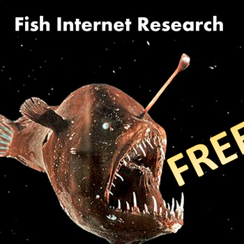 Preview of Unusual Fish Internet Research
