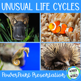 Unusual animal life cycles slide show PowerPoint