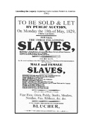 Unveiling the Legacy: Exploring Slave Auction Posters in A