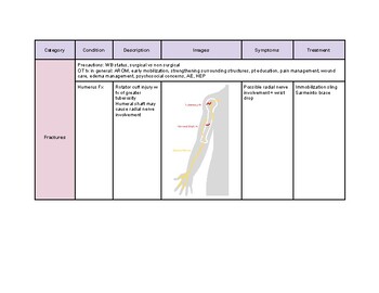 Preview of Upper Extremity Conditions Chart- OT Exam Study Materials