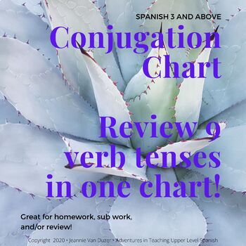 Preview of Spanish conjugation practice