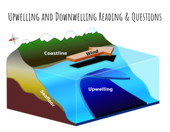 Preview of Upwelling and Downwelling Reading & Questions