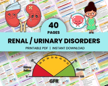 Preview of Urinary Disorder | Renal System Study Guide | Nursing Notes | Digital Download