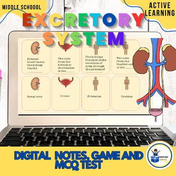 Preview of Urinary/ Excretory system - digital worksheets, game, test. 7th grade science