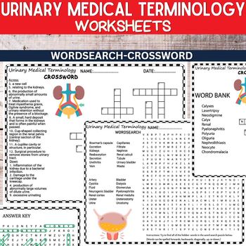 Preview of Urinary Medical Terminology  Worksheets Word Search and Crossword , ANATOMY UNIT
