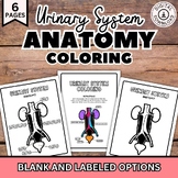 Urinary System Coloring Pages, Human Body Anatomy Diagram 