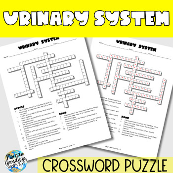 Urinary System Crossword Puzzle by Morgan Hernandez Health and PE