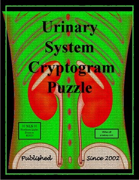 Preview of Urinary System Cryptogram Puzzle