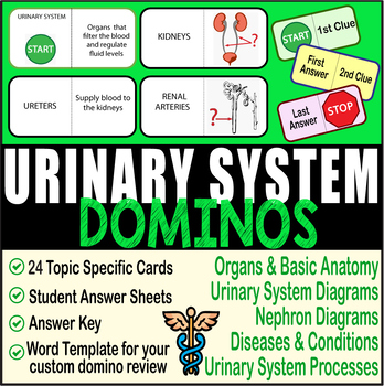 Preview of Urinary System ~DOMINO REVIEW~ 24 Cards + Answer Sheets + Key~ Anatomy