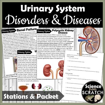 Preview of Urinary System Disorders and Diseases Stations
