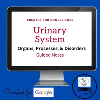 Preview of Urinary System: Organs, Processes, & Disorders Guided Notes | No Prep
